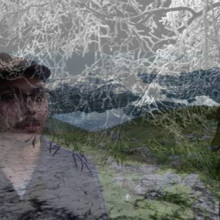 rishaug-svartegreiner